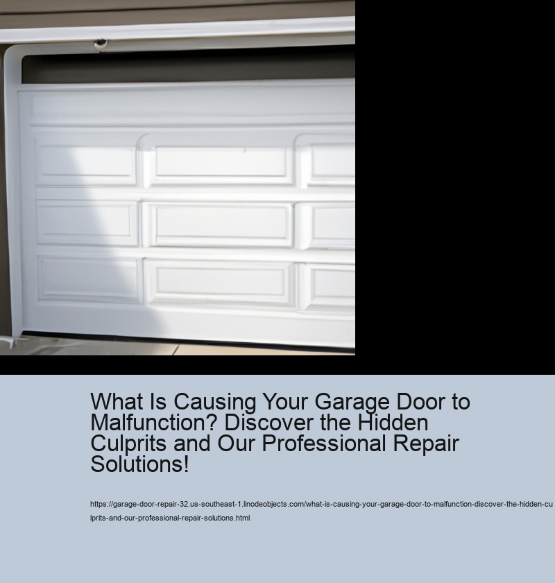 What Is Causing Your Garage Door to Malfunction? Discover the Hidden Culprits and Our Professional Repair Solutions!